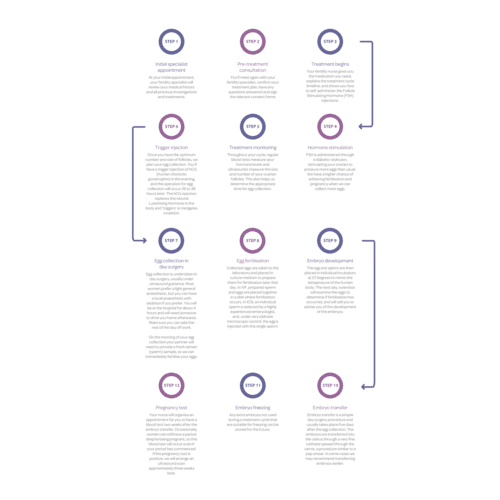 IVF Process Infographic